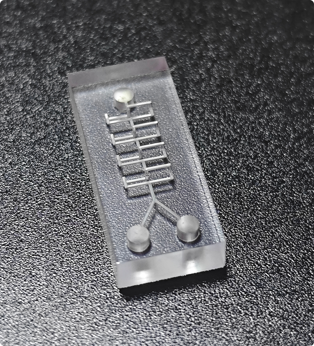 XS-BIO Biocompatible Resin (Transparent)